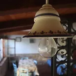 Apartmani Jelena